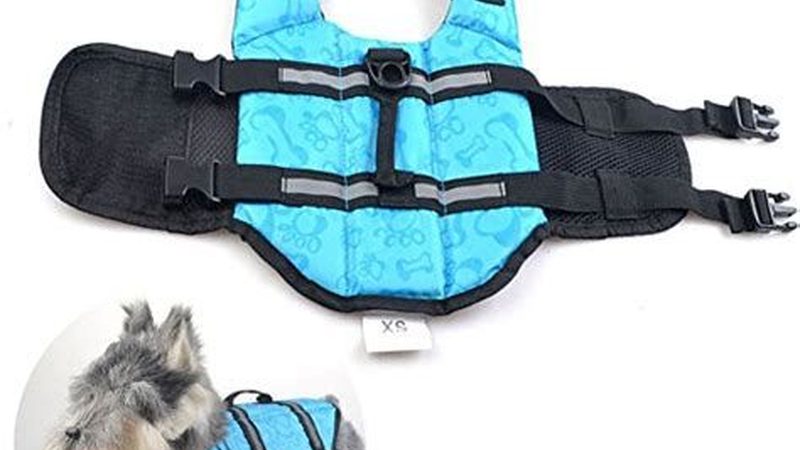 上海螺杆冷水机选型：关键指标与注意事项**